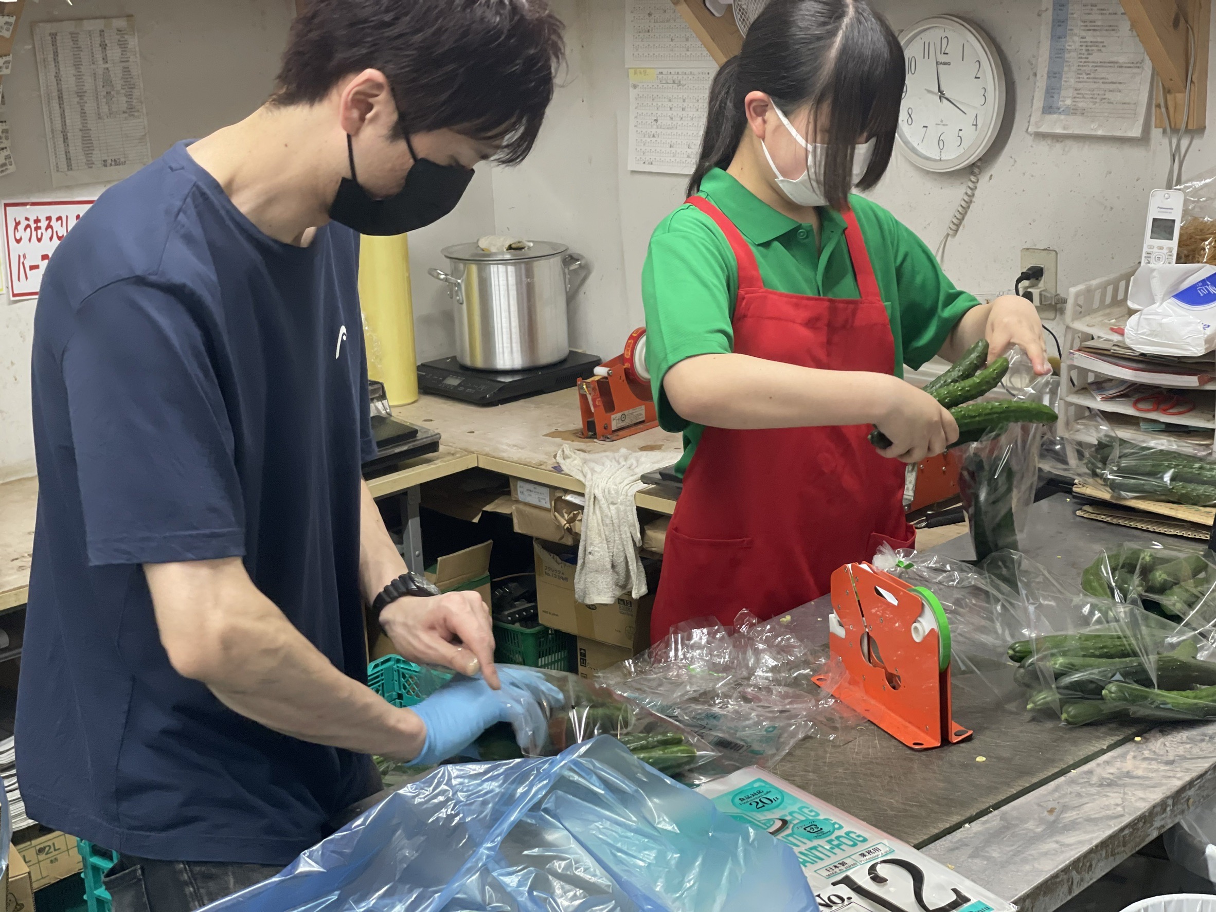 9本入が250円